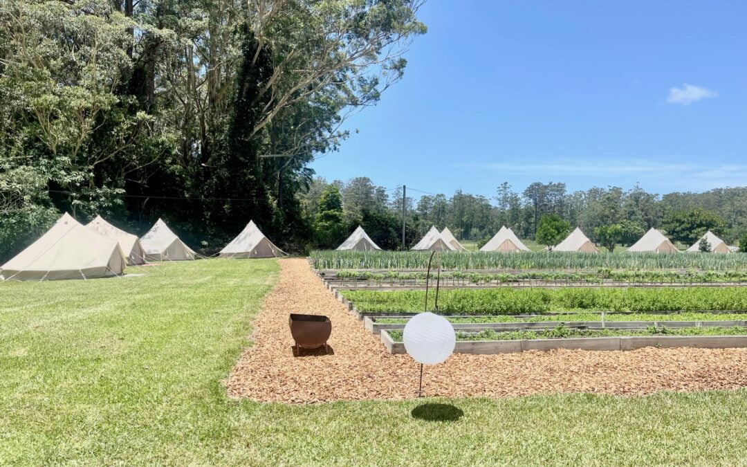 Hiring Bell Tents for Your Country Wedding