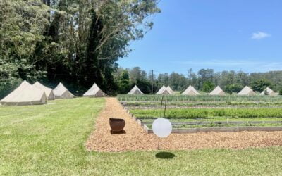 Hiring Bell Tents for Your Country Wedding